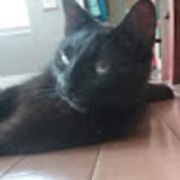 Meet your Posher, Katie - Picture 1 of 1